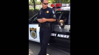 Edition #2: SPD #WhyIwearthebadge-Sgt Dobson and K9 Ace
