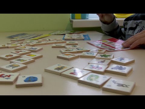 სპეციალური საჭიროების მქონე ბავშვები ტრანსპორტის გარეშე