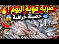 ضربة قوية اليوم من سمك الخنبل
