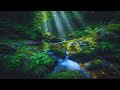 Instant Calm &amp; Inner Peace 🌿 Healing Forest Stream with Gentle Birdsong