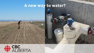 Underground irrigation lines bringing optimism to some Alberta Farmers amid drought