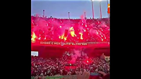 جماهير رجاوية حاضرة في مباراة مولودية الجزائر🇲🇦🇩🇿💚 Green boys