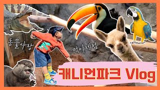 캐니언파크 | 동물들과의 만남 | 실내동물원 | 먹이주고 만져보고 ~ 귀여운 동물들 보고 힐링하기 ♥️