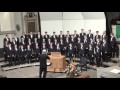 Aurelius Sängerknaben Calw &quot;Jubilate Deo&quot; László Halmos (Stiftskirche Stuttgart 16.10.2015)