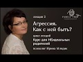 «Агрессия. Как с ней быть?» | Фрагмент вебинара Ирины Млодик | Курс для НЕидеальных родителей