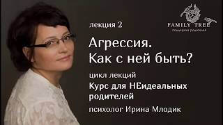 «Агрессия. Как с ней быть?» | Фрагмент вебинара Ирины Млодик | Курс для НЕидеальных родителей «Агрессия. Как с ней быть?» | Фрагмент вебинара Ирины Млодик | Курс для НЕидеальных родителей