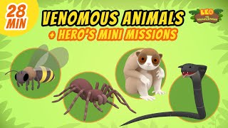 Venomous Animals  Junior Rangers and Hero's Animals Adventure | Leo the Wildlife Ranger