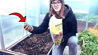 The best fertilizer you will ever need
