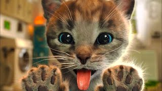 Приключение Маленького Котенка #1 Little Kitten Adventure Games на пурумчата