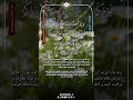 سوره بقره | آیه شصت و سوم تعجیل در فرج حضرت قائم آل محمد (عج) صلوات#قرآن #قران_كريم #جهانگردی #ترند