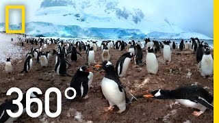 360° Antarctica  Unexpected Snow | National Geographic