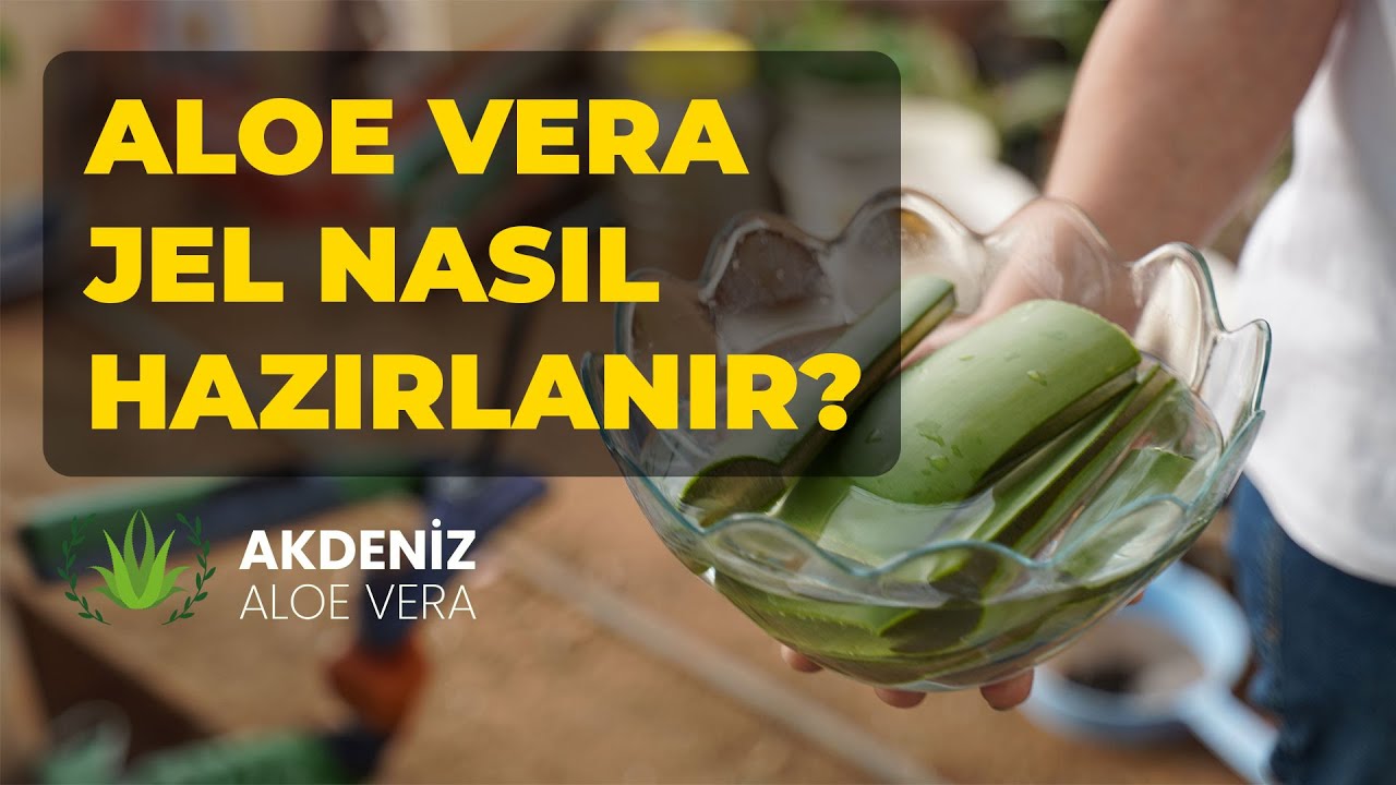 Aloe Vera Jel Nasıl Hazırlanır YouTube