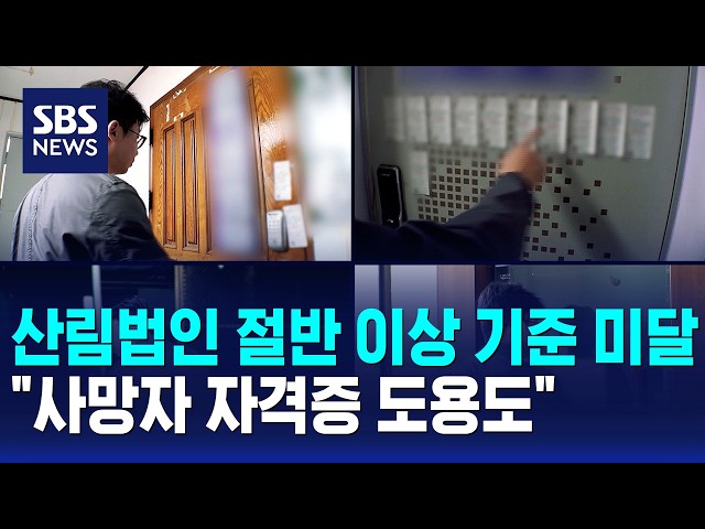 산림법인 절반 넘는 1천73곳 기준 미달..사망자 자격증 도용도 / SBS 12시뉴스
