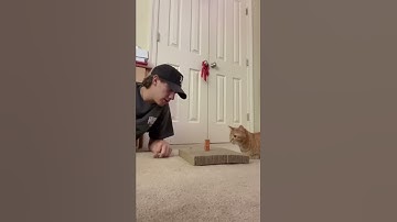 World’s Smallest Jenga