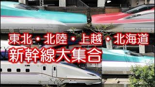 【通過動画】東北新幹線／北陸新幹線／上越新幹線／北海道新幹線 走行シーン集（E3系・E4系・E5系・E6系・E7系）