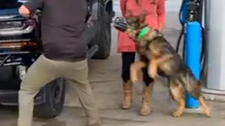 Muzzle fighting for Protection Dogs by Richard Heinz 948 views 10 months ago 14 minutes, 15 seconds