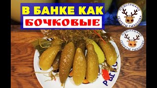 Рецепт соленых ОГУРЦОВ. Огурцы в БАНКЕ как из БОЧКИ. САМЫЙ простой рецепт. ХРУСТЯЩИЕ огурчики будут!