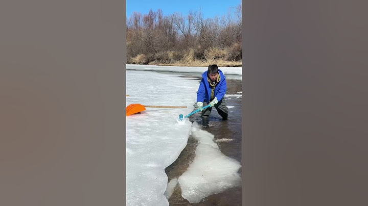 【搞笑漁民真實生活】日出日落，勤勤恳恳！#fishing  #shorts  #趕海