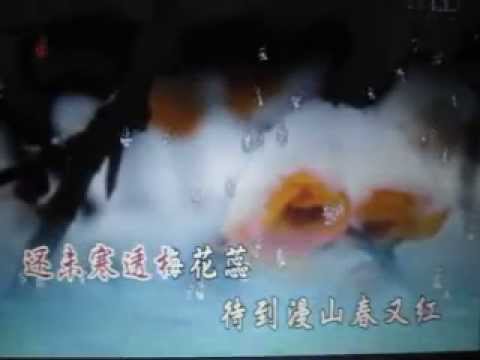 谁说梅花没有泪【WB】（甫人- 婷婷）
