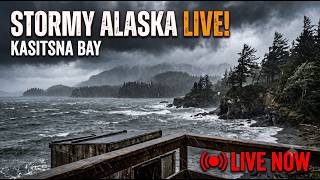 🌧️🌊  LIVE: Relaxing Stormy Weather, Rain & Ocean Waves | Kasitsna Bay, AK ⛈️ screenshot 2