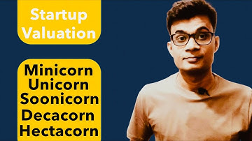 Meaning of minicorn, soonicorn, unicorn, decacorn and hectacorn