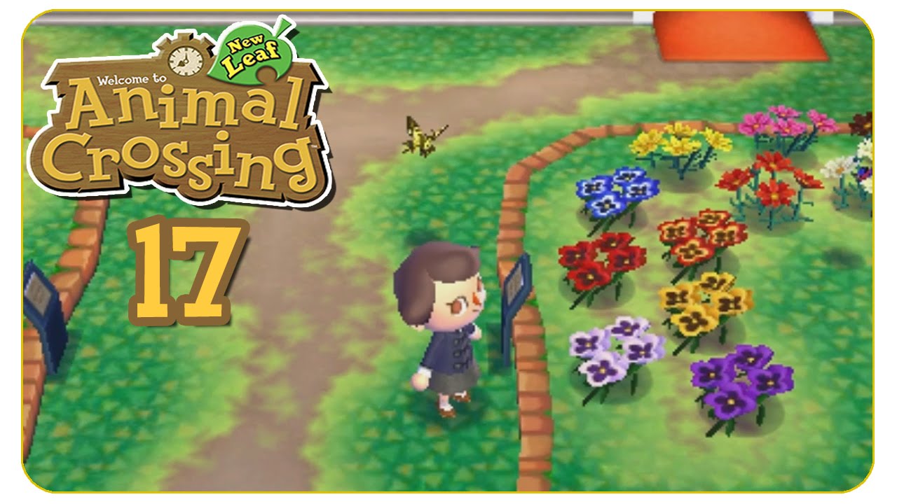 Museumstour 17 Animal Crossing New Leaf Let's Play YouTube