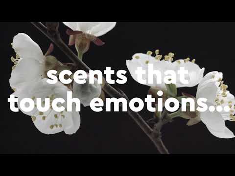 SCENTLINQ Ambient Scenting and Scent Marketing Applications