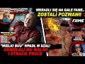 ZAOSTRZONE ZASADY WE FREAKCH!? ZAWODNICY TRACĄ WALKI! (FAGATA, GIMPER, SCARFACE BOMBA, FAME MMA)