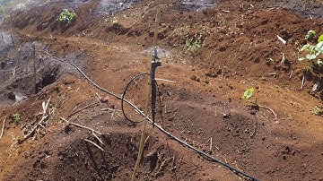 TƯỚI BÙ ÁP CHO CÂY BƠ TẠI ĐĂKNÔNG - BÉC BS5000 PRO || 0335.785.795 - 0938.86.86.17