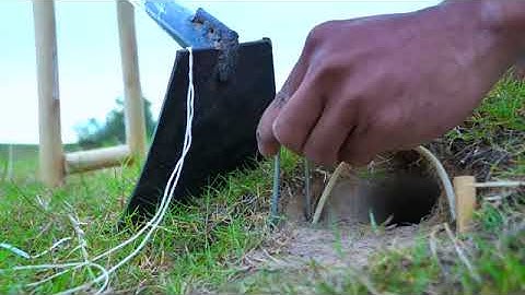 SNAKE EASY SNAKE TRAP  Best Creative DIY Snake Trap Using Hoe Work 100%