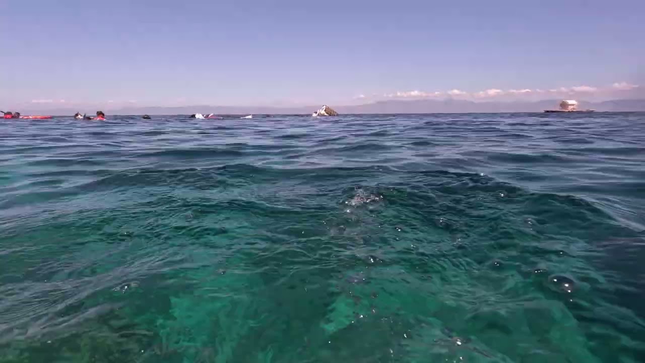 BALLESTEROS sardines'run pt2