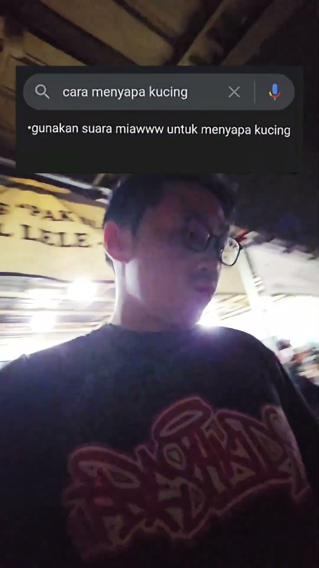 CARA MENYAPA KUCING YANG BENAR!