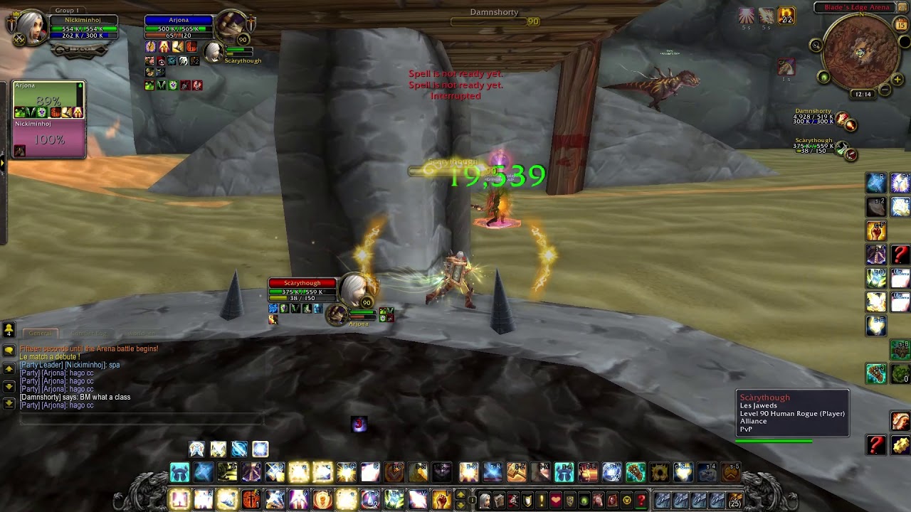 BM hunter not allowed in Arena? MoP 2v2