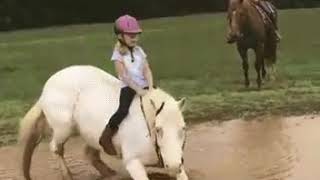 Amazing gifs 4