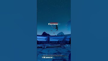 Have You Fought This SECRET Boss in Borderlands 2?