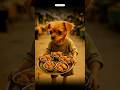 Dogesh bhai || #royalsurve #viral