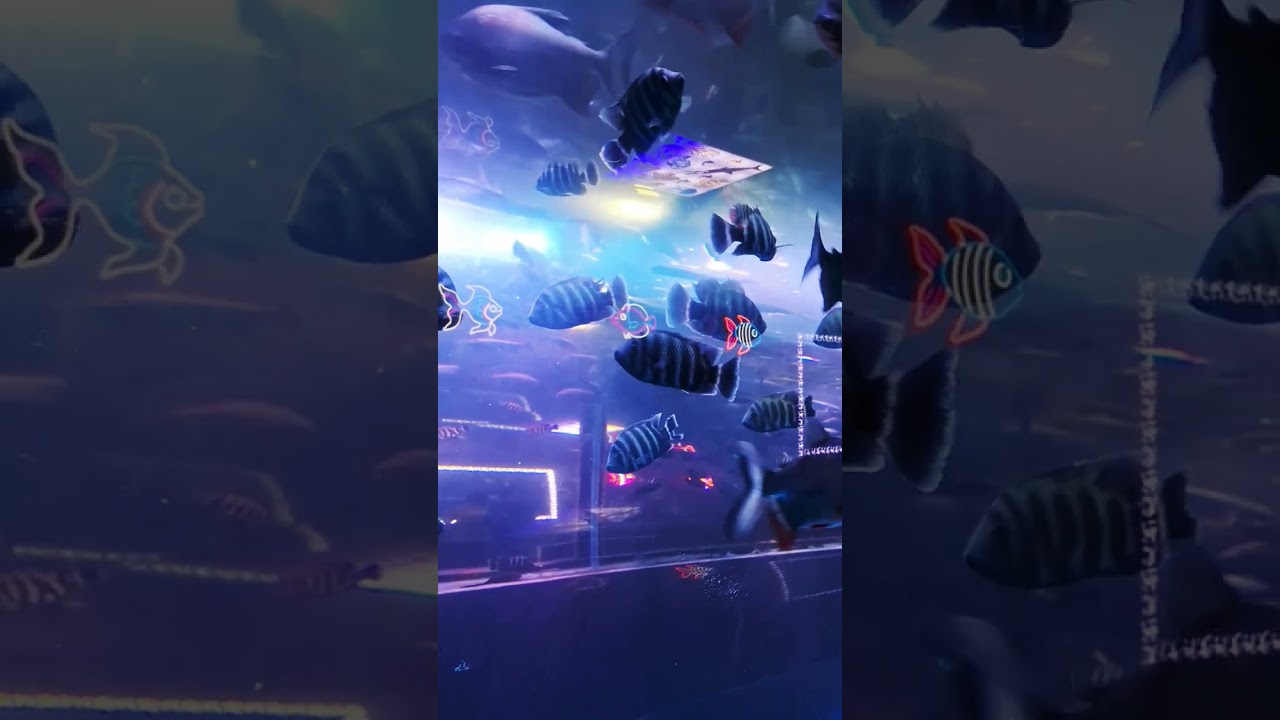 Welcome2024 # Marine Expo Perumbavoor 