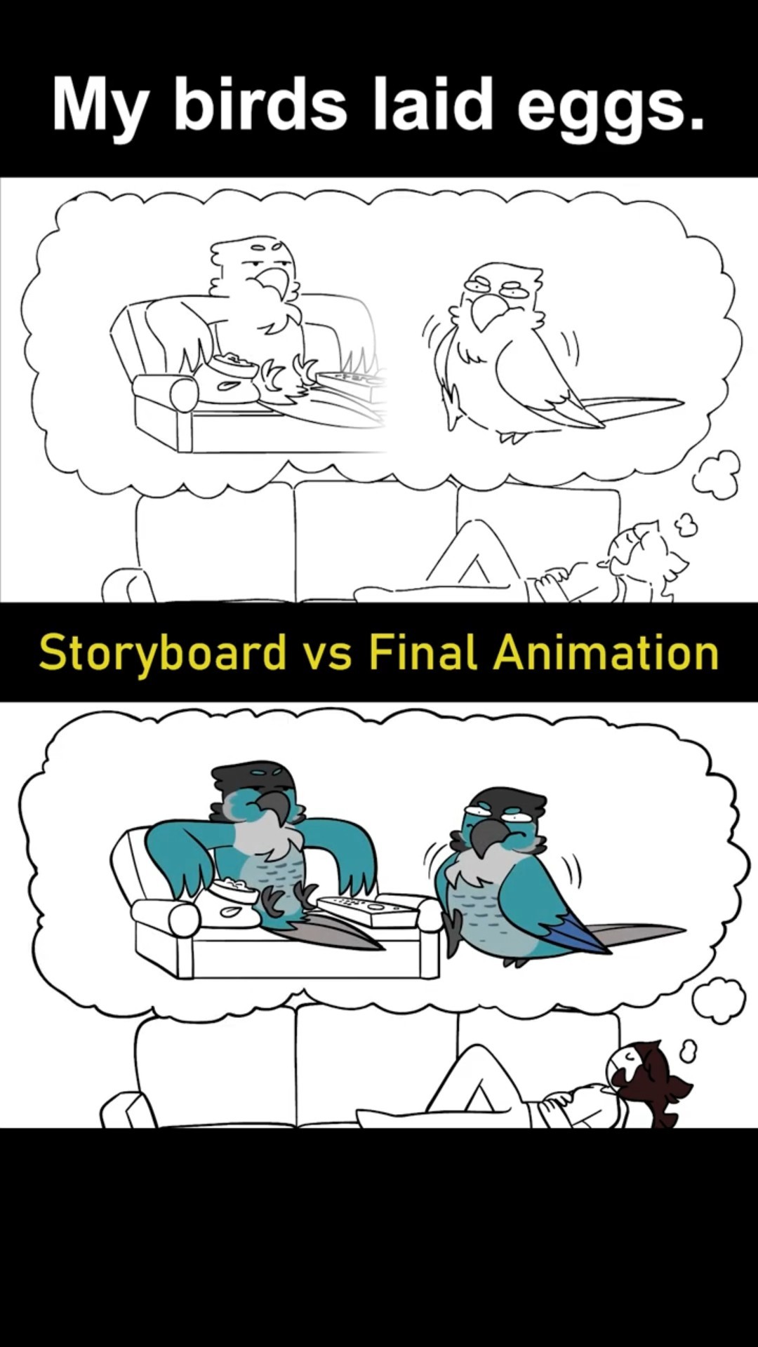 Storyboard vs Animation: My Birds Laid Eggs (shot 10)