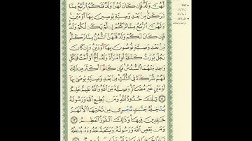 الورد اليومى.. سورة النساء من الاية 12 الى الاية 14 بصوت القارئ الشيخ ماهر المعيقلى
