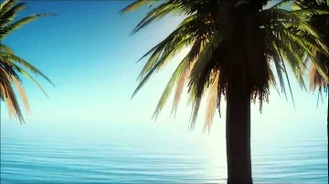 Palm Trees and wave sounds