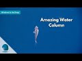 Windows to the Deep: Amazing Water Column