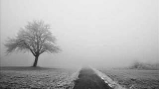 november`s doom- all the beauty twice again