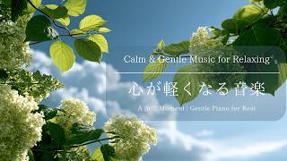 BGM】心が軽くなる音楽 | A Still Moment | Gentle Piano for Rest 