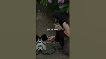 Comment....✨️..#bts #kpop #viralvideo #jungkook #aesthetic  #video #fyp #trending #music #introvert