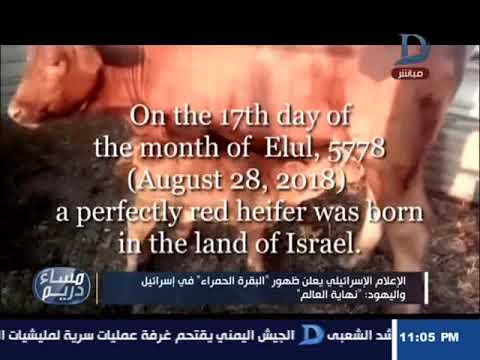 الأكلات المشهورة في ألمانيا مساء دريم| الإعلام الإسرائيلي يعلن ظهور