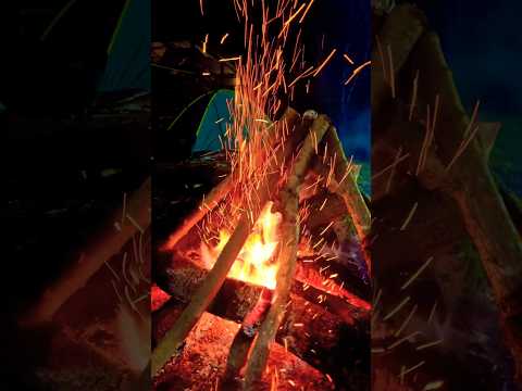 Fireplace | Solo camping | campfire | asmr #asmr #fireplace #solocamping #wintercamping #ソロキャンプ