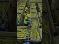 How Sugar Is Made from Sugar Cane | Inside the Massive Sugar Factory
