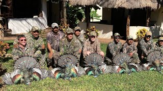 Ocellated Turkey Hunt 2022