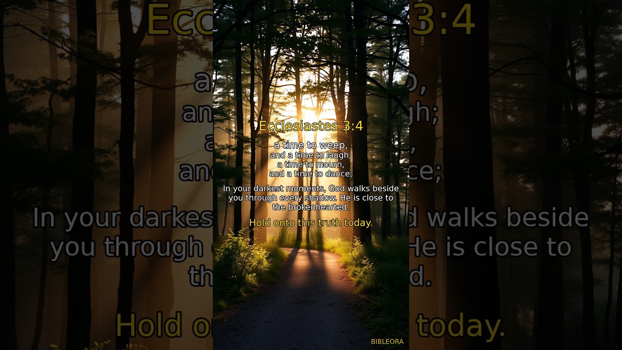 📖 HOLY BIBLE: Find Comfort | Ecclesiastes 3:4 #shorts