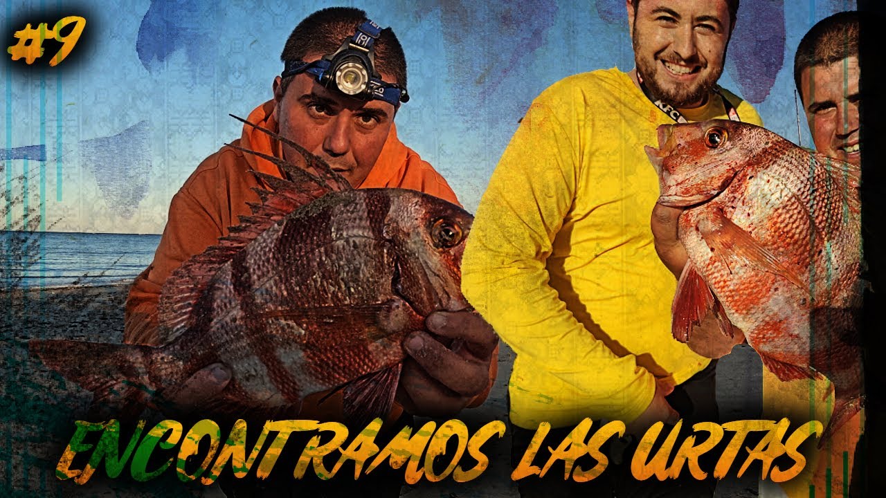 JORNADÓN SURFCASTING en CADIZ , DORADA , URTAS, BORRIQUETES, ROBALO